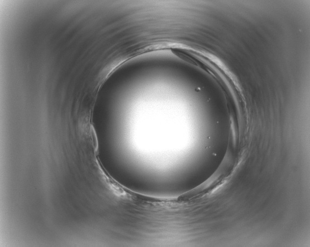 X0000066090905200603101203