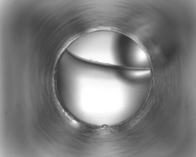 X0000066090906200603101203