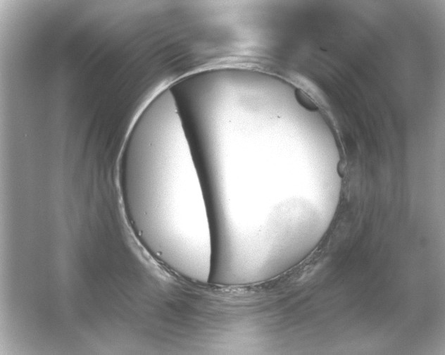 X0000066090907200603101203