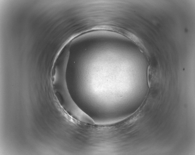 X0000066090908200603101203