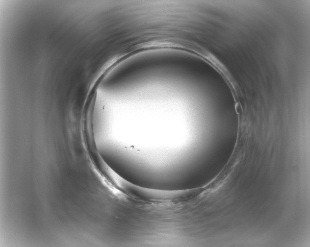 X0000066090909200603101203