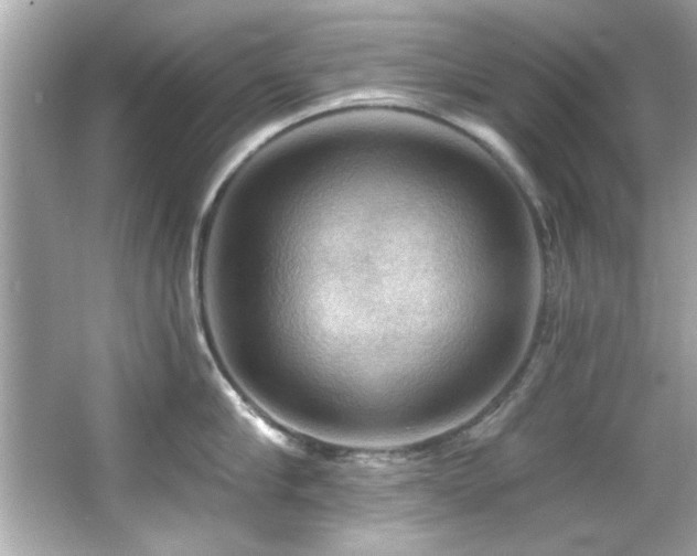 X0000066090910200603101203