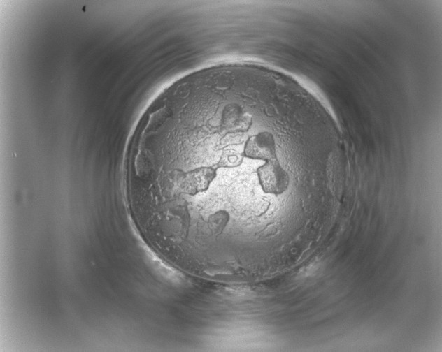 X0000066090911200603101203