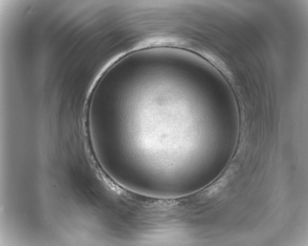 X0000066090912200603101203