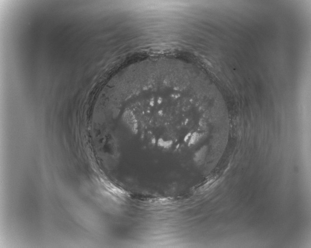 X0000066090913200603101202