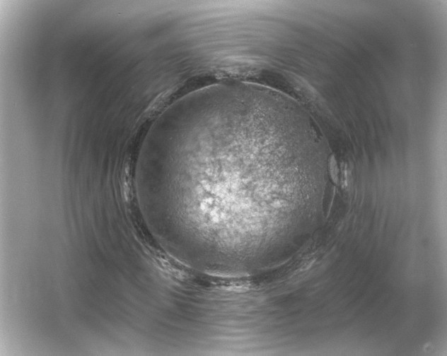 X0000066090915200603101202