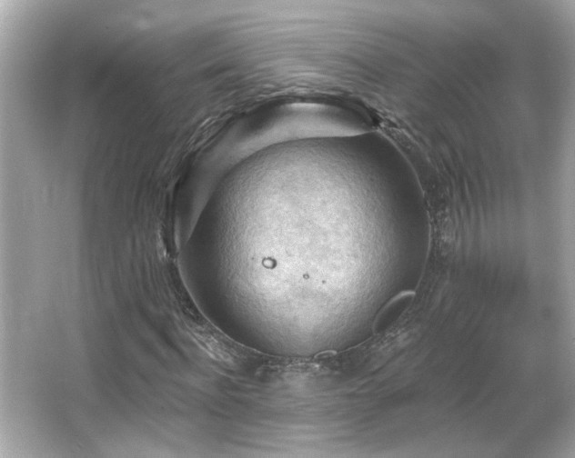 X0000066090916200603101202