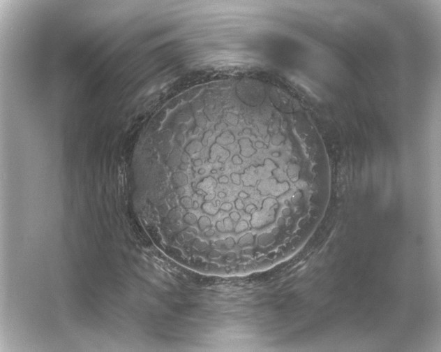 X0000066090917200603101202