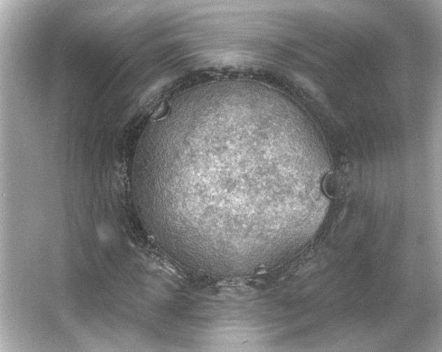 X0000066090918200603101202