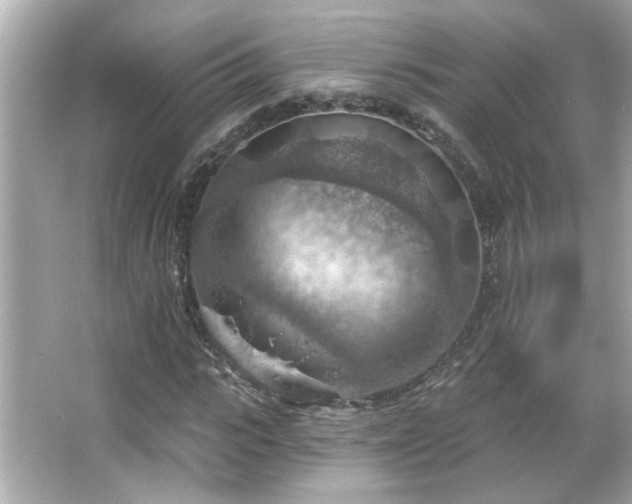 X0000066090919200603101202