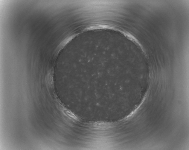 X0000066090921200603101202