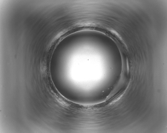 X0000066090922200603101202