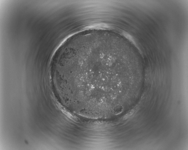 X0000066090923200603101202