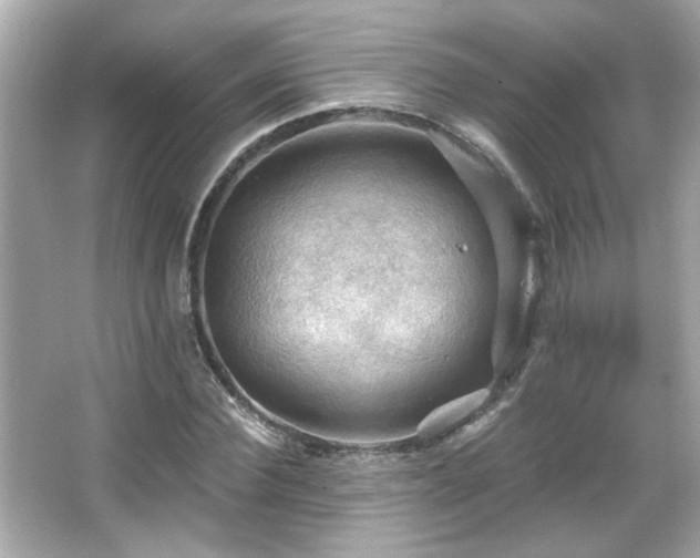 X0000066090924200603101202