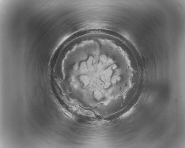 X0000066090925200603101202