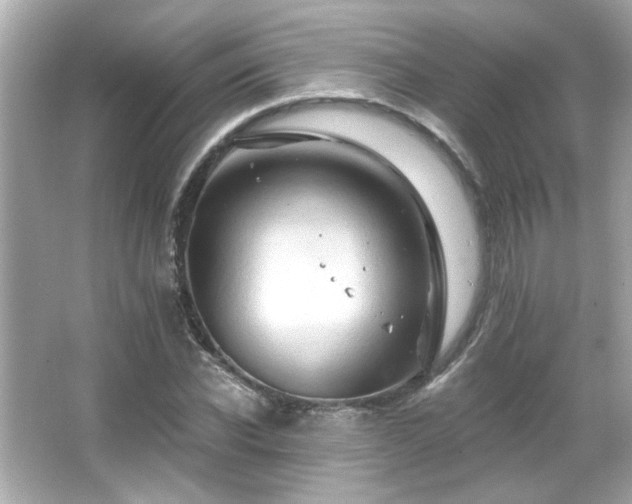 X0000066090926200603101202