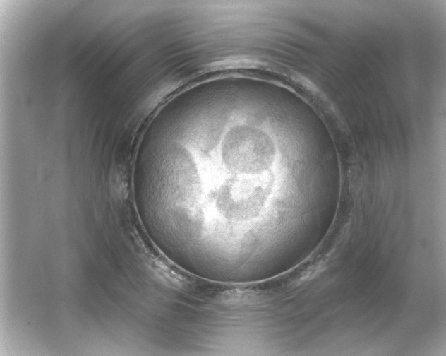 X0000066090929200603101202