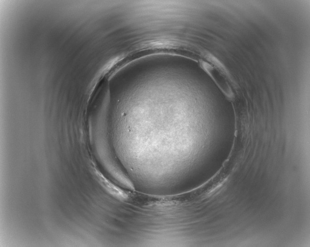 X0000066090930200603101202