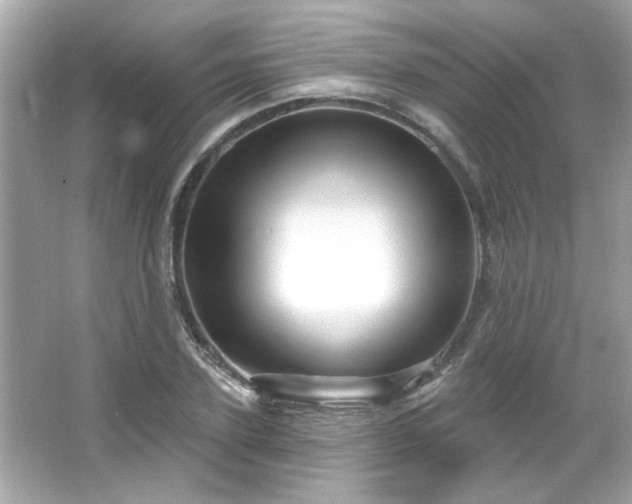 X0000066090931200603101202