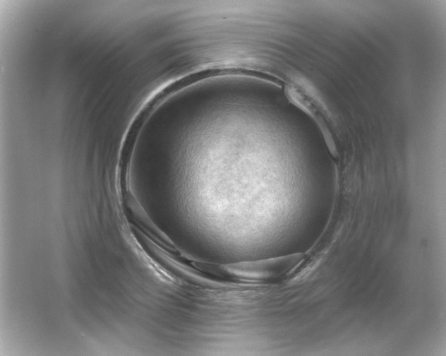 X0000066090932200603101202