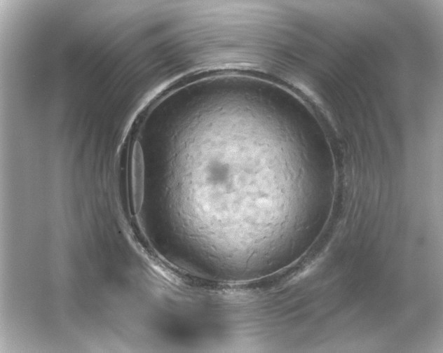 X0000066090933200603101202