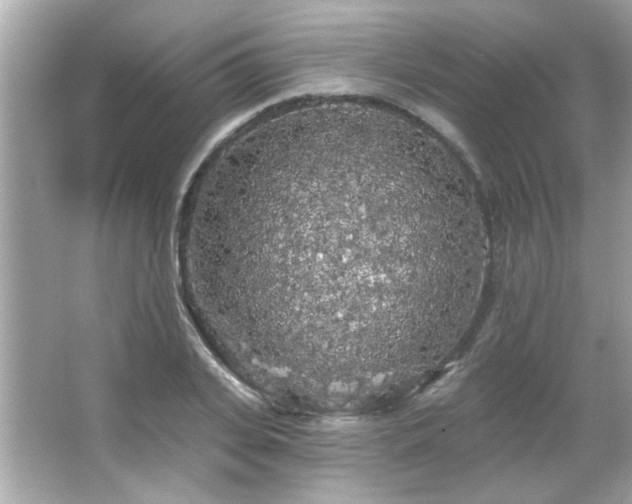 X0000066090935200603101202