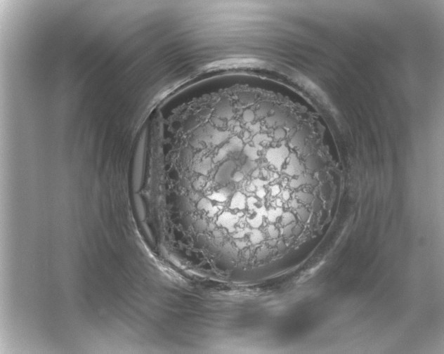 X0000066090937200603101202