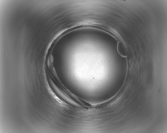 X0000066090939200603101202