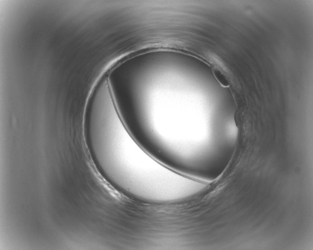 X0000066090940200603101202