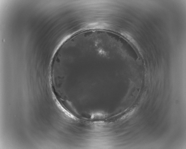 X0000066090941200603101202