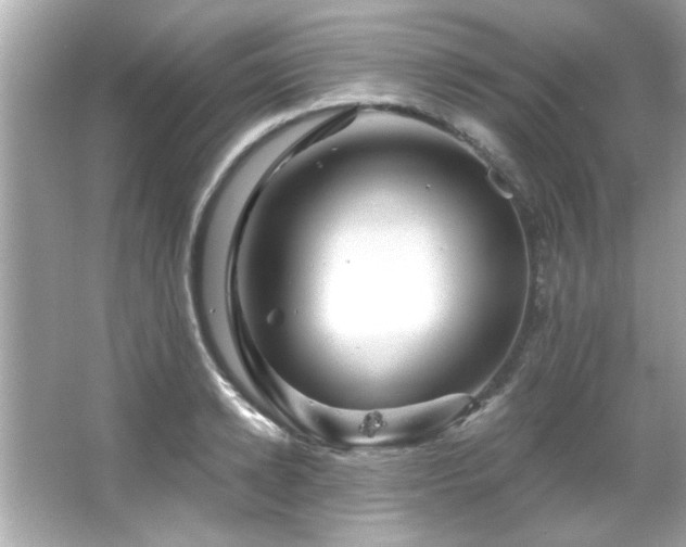 X0000066090942200603101202