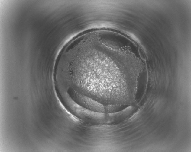 X0000066090943200603101202