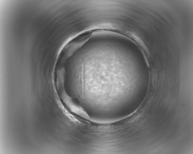 X0000066090944200603101202