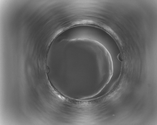 X0000066090945200603101202