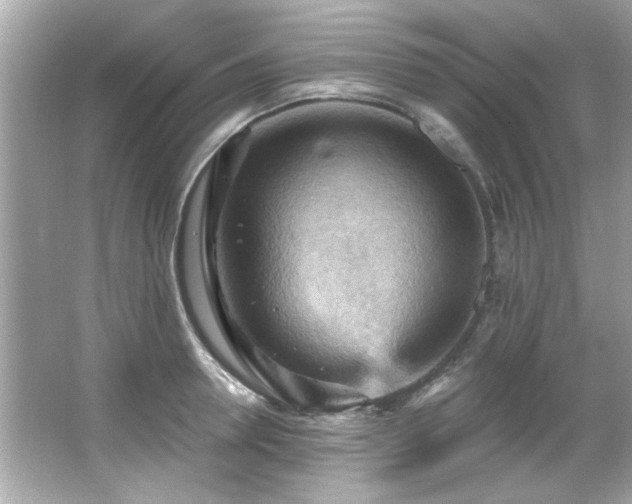 X0000066090946200603101202