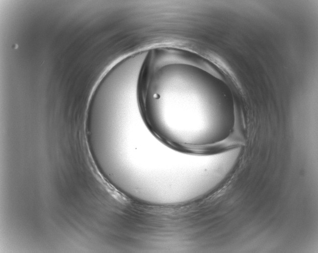 X0000066090948200603101202