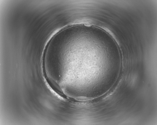 X0000066090949200603101202