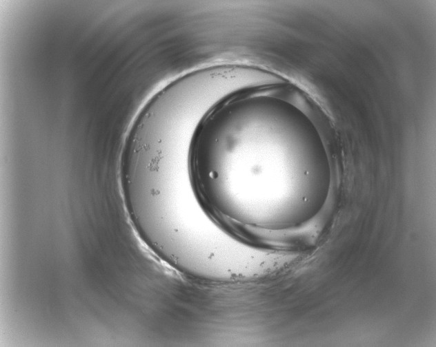 X0000066090950200603101202