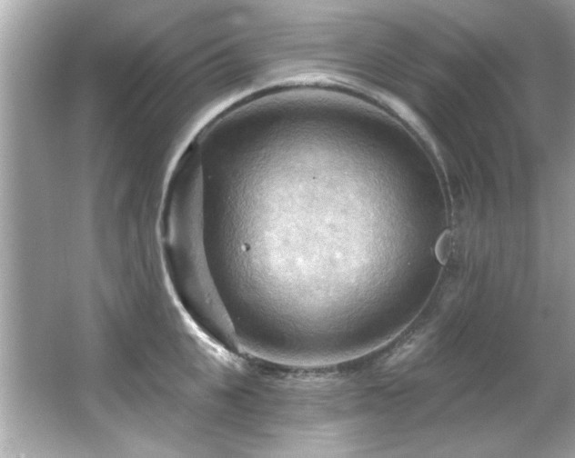 X0000066090951200603101202