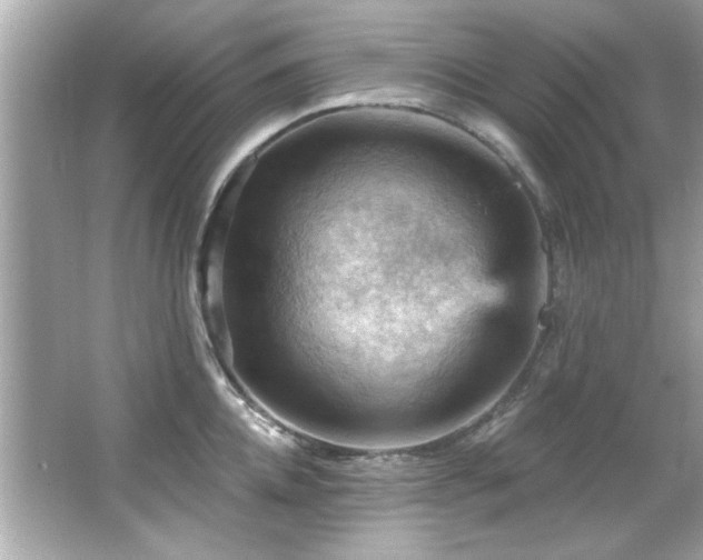 X0000066090952200603101202