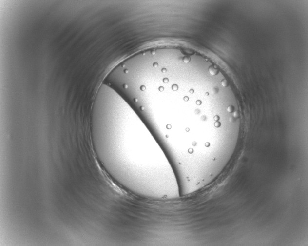 X0000066090953200603101202