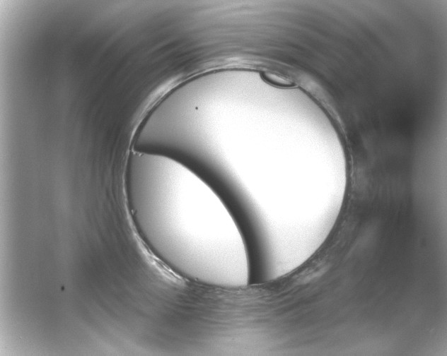 X0000066090954200603101202