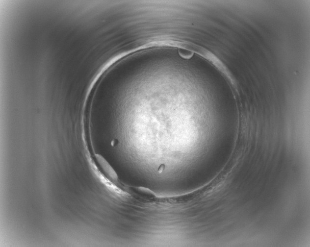 X0000066090955200603101203