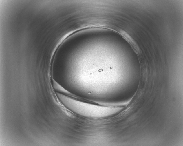 X0000066090956200603101203