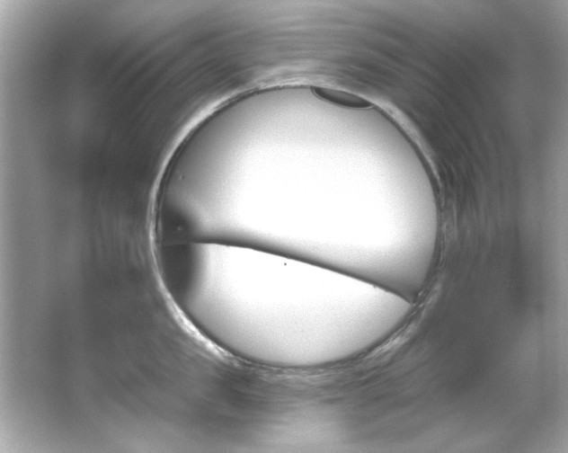 X0000066090957200603101203