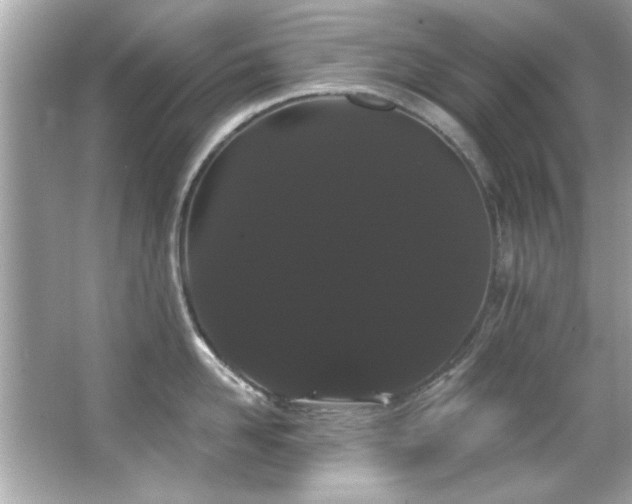 X0000066090958200603101203