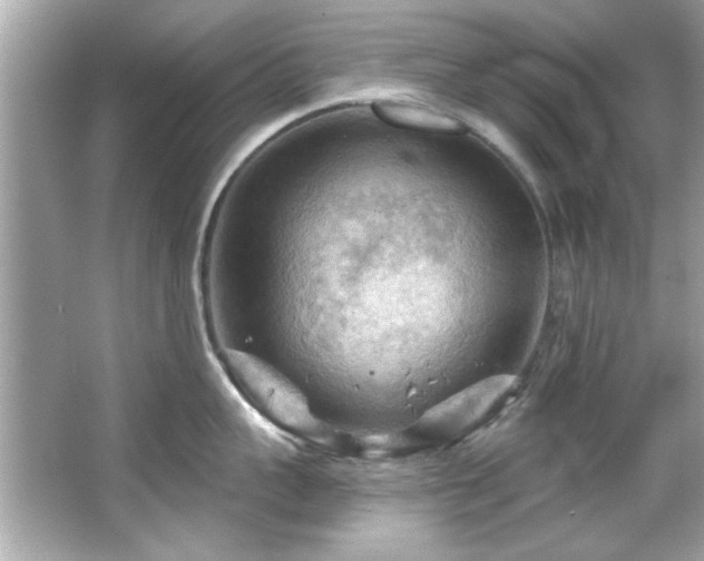 X0000066090959200603101203