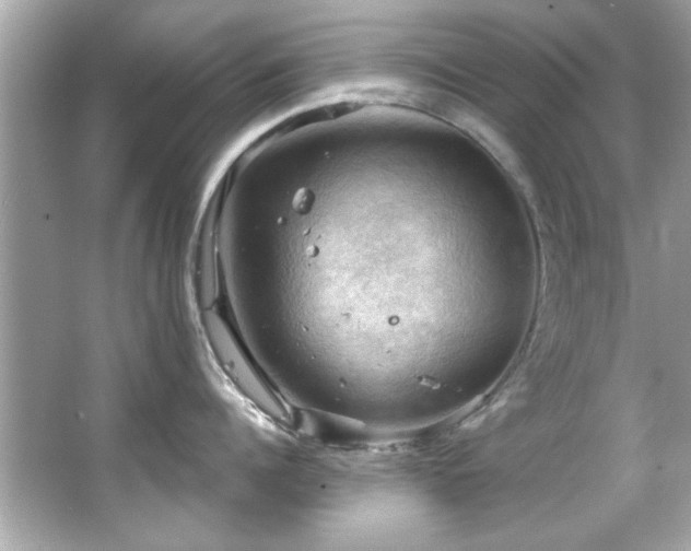 X0000066090960200603101203