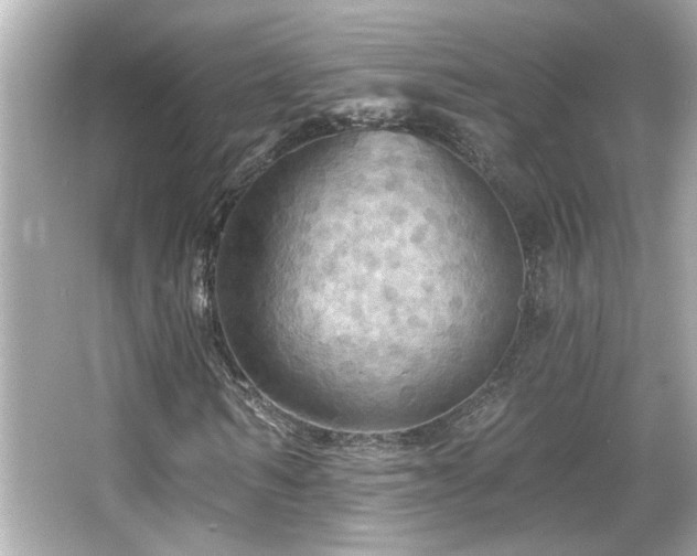 X0000066090962200603101202