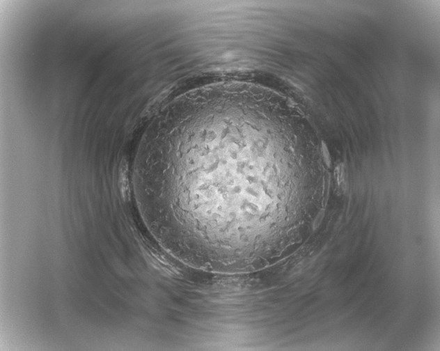 X0000066090963200603101202